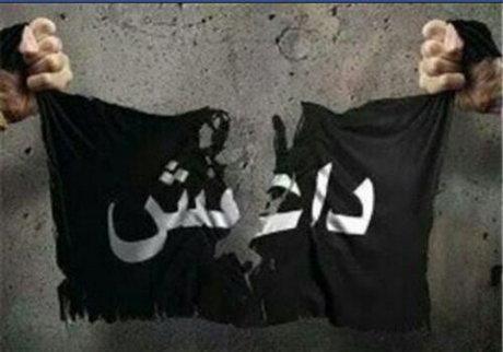 14 داعشی در عملیات ضد تروریسم در موصل کشته شدند 14 داعشی در عملیات ضد تروریسم در موصل کشته شدند