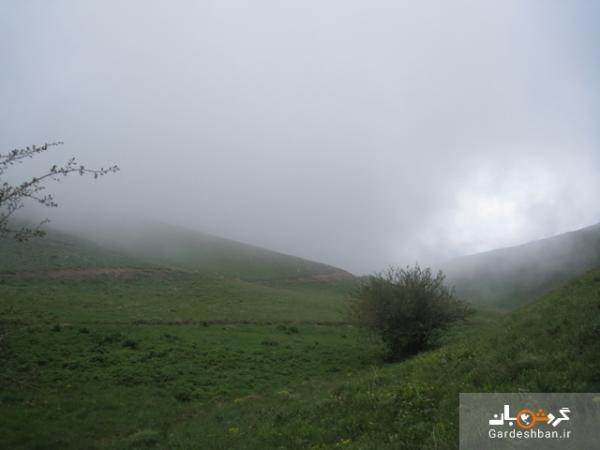 سنگ نگاره های عقربلو در آذربیجان غربی، عکس