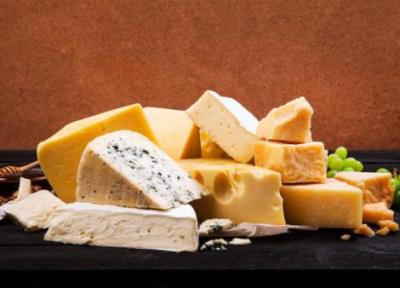 ورود به دنیای خوشمزه پنیرها